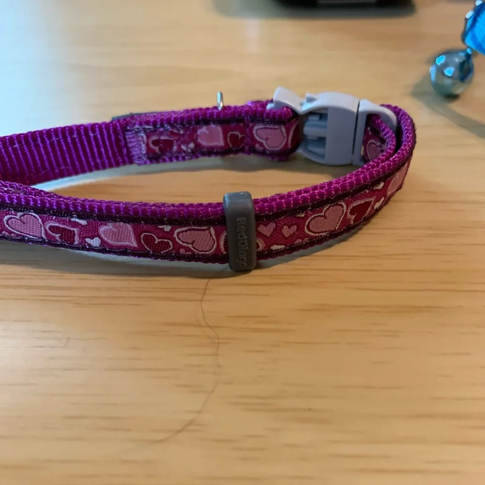 Brand new Purple Heart design cat collar has breakaway tan on collar purple bell